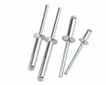 Rivets